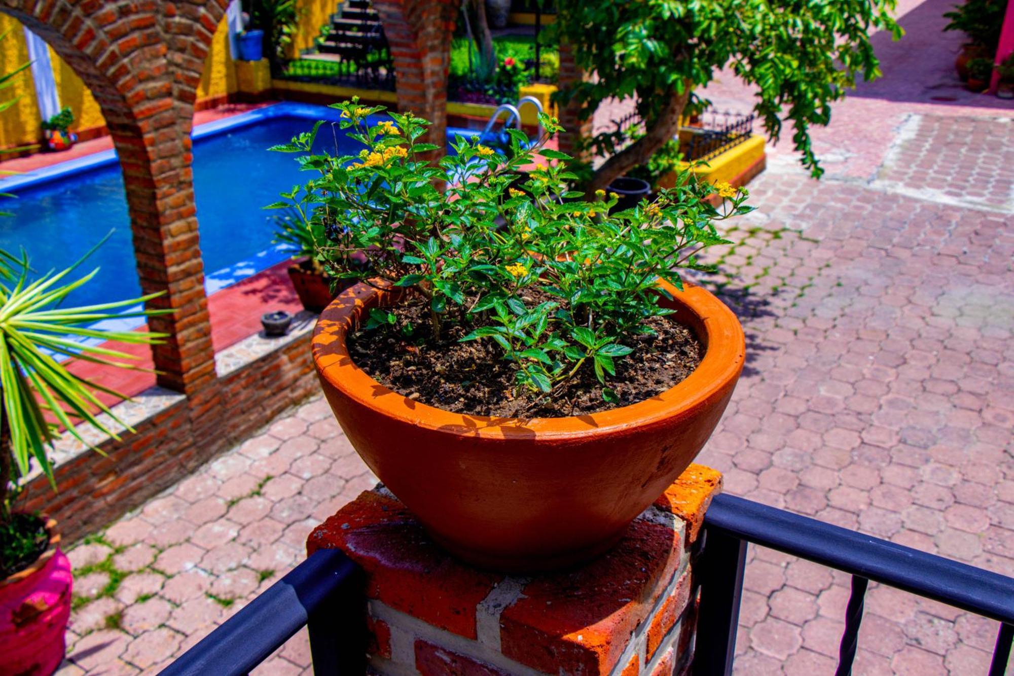 Posada Margaritas Tlaquepaque Bagian luar foto